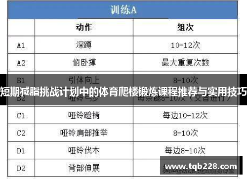 短期减脂挑战计划中的体育爬楼锻炼课程推荐与实用技巧